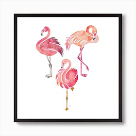 Flamingos Square Art Print