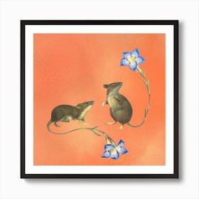 Mouse Tales Square Art Print