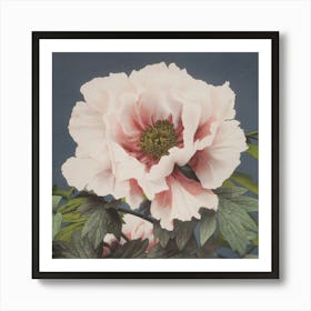 Peony Art Print