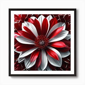 Red And White Flower Art Print