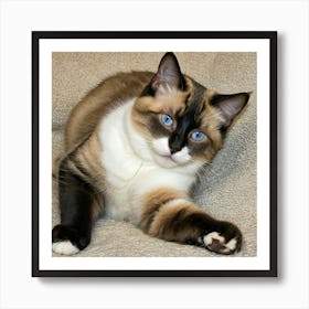 Calico Cat 1 Art Print