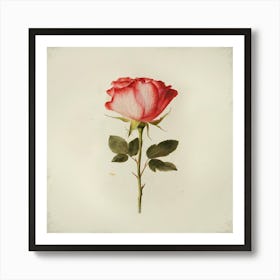 Single Rose 2 Art Print