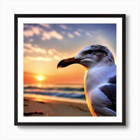 Seagull At Sunset Art Print