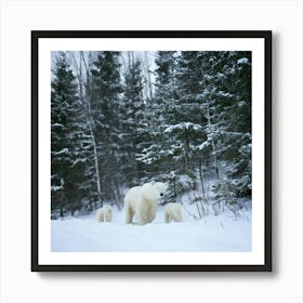 Firefly Bear, Mama, Cubs, Snow, Winter, Beautiful, Wildlife, Family, Nature, Forest, Snowy, Serene, (9) Art Print