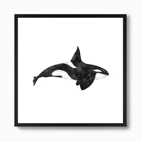 Orca Square Art Print
