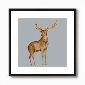 Deer Stag Art Print