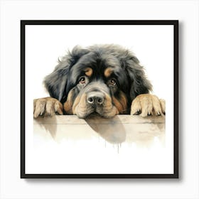 Tibetan Mastiff Dog 3 Art Print