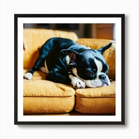 Boston Terrier Sleeping On The Couch Art Print