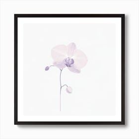 "Ethereal Orchid: Delicate Beauty"  "Ethereal Orchid" celebrates the delicate beauty and subtle elegance of the beloved flower. This digital art piece, with its soft lavender hues and gentle lines, offers a modern take on botanical art. Ideal for adding a touch of sophisticated floral charm to any space, this artwork captures the orchid's serene and graceful poise. Perfect for those who appreciate the refined simplicity and timeless allure of nature's own masterpieces. Art Print