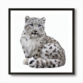 Snow Leopard 1 Poster