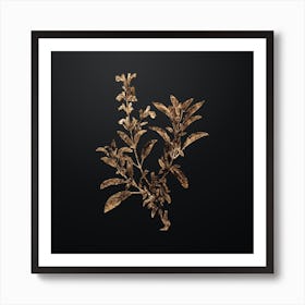 Gold Botanical Garden Sage on Wrought Iron Black n.3980 Art Print