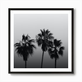 California Minimalist Palm Trees Black And White Square Art Print