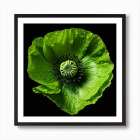 Green Poppy Flower Art Print