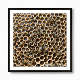 Honeycomb and Bees Art Print