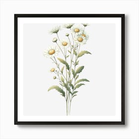 Daisy 8 Art Print