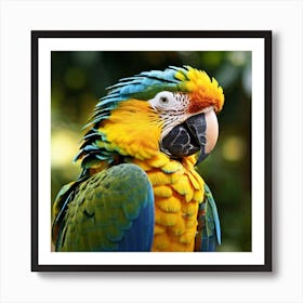 Portrait of a colorful macaw parrot in close up. Art Print