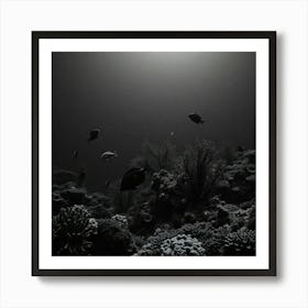 Black And White Underwater Scene1 Art Print