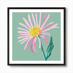 Asters 3 Square Flower Illustration Art Print