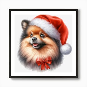 Pomeranian Dog 4 Póster