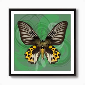 Mechanical Butterfly The Rippon S Birdwing Techno Troides Hypolitus On A Green Background Art Print