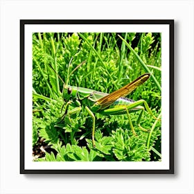 Grasshoppers Insects Jumping Green Legs Antennae Hopper Chirping Herbivores Garden Fields (13) Art Print