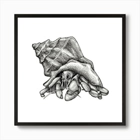 Hermit Crab no. 2 Black and White Ink Illustration 1 Art Print