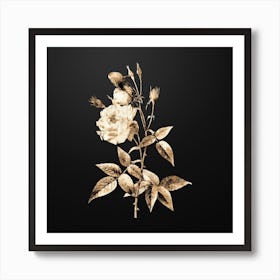 Gold Botanical Common Rose of India on Wrought Iron Black n.2947 Art Print