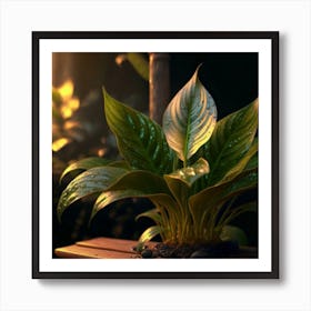 Plant In A Pot Art Print