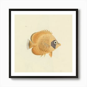 Unidentified Fish, Luigi Balugani Art Print