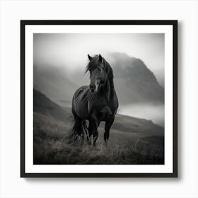 Black Horse Poster