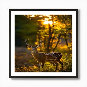 Deer At Sunset Art Print