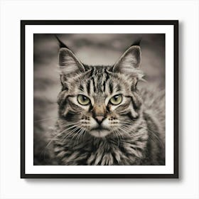 Lynx Cat Art Print