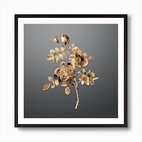 Gold Botanical Austrian Briar Rose on Soft Gray n.2530 Art Print