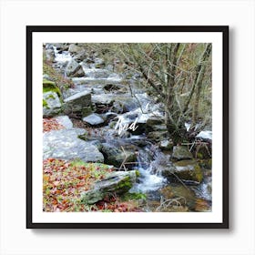 Stream In The Woods Art Print