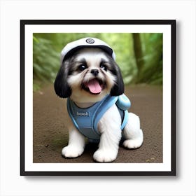 Happy Black & White Shih Tzu Dog with Tongue Out, Smiling, Wearing A Sailor Type Hat & Blue Harness in a Lush Green Forest Art Print