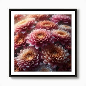 Chrysanthemums flowers 3 Art Print