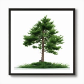 Pine Tree Isolated On White Art Print