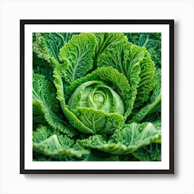 Close Up Of A Cabbage 2 Art Print