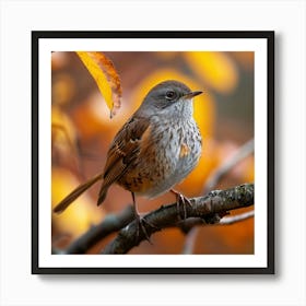 Spruce Warbler Art Print