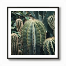 Cactus 5 Art Print