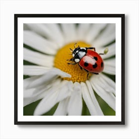 Ladybug On A Daisy 2 Art Print