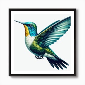 Bird of Hummingbird 3 Art Print