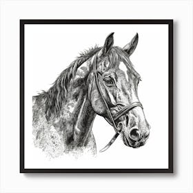 Horse Head Drawing 1 Art Print