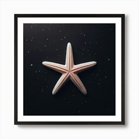 Starfish 5 Art Print