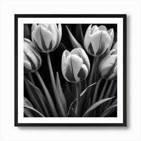 Black And White Tulips Art Print