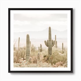 Southwest Scenery Square Art Print