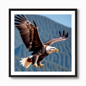 Bald Eagle In Flight Art Print