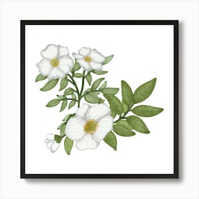 Wedding white flower Art Print