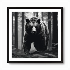 Black Bear In The Forest 3 Art Print