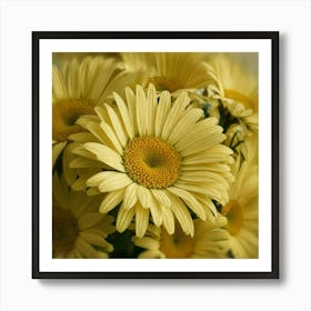 Yellow Daisies Art Print